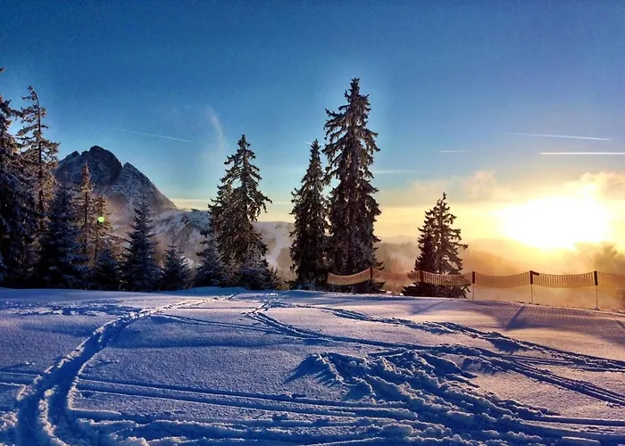 Haus Moni Appartement